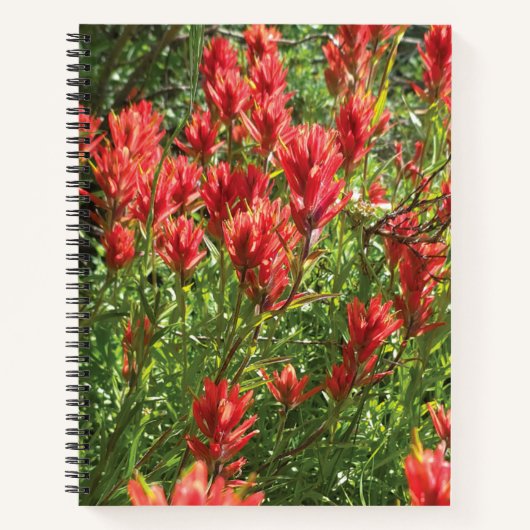 Paintbrush Spiral Notebook Notitieboek (Voorkant)