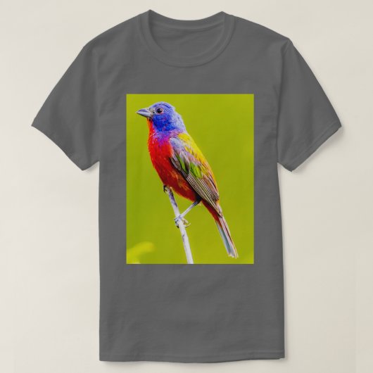 Painted Bunting 1 T-shirt (Design voorkant)