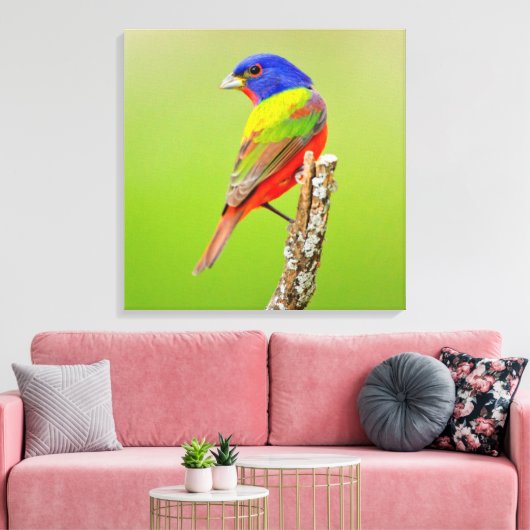 Painted Bunting (Passerina ciris) Male Perched Canvas Afdruk (Insitu (Woonkamer))