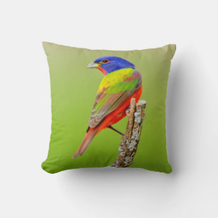 Painted Bunting (Passerina ciris) Male Perched Kussen