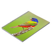 Painted Bunting (Passerina ciris) Male Perched Notitieboek (Linkerzijde)