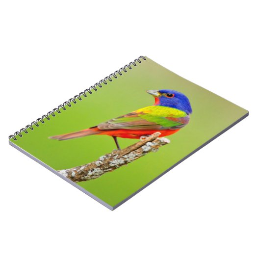Painted Bunting (Passerina ciris) Male Perched Notitieboek (Linkerzijde)
