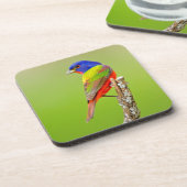 Painted Bunting (Passerina ciris) Male Perched Onderzetter (Linkerzijde)