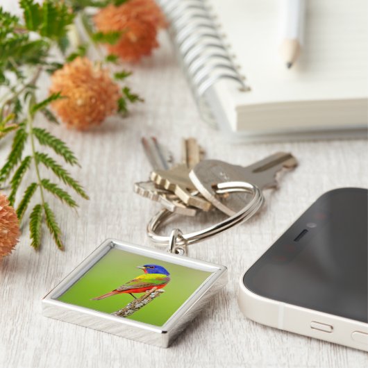Painted Bunting (Passerina ciris) Male Perched Sleutelhanger (Zijkant)