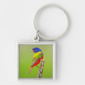 Painted Bunting (Passerina ciris) Male Perched Sleutelhanger (Voorkant)