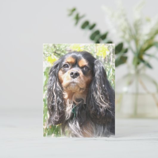 Painted Cavalier King Charles Spaniel Briefkaart (Staand voorkant)