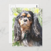 Painted Cavalier King Charles Spaniel Briefkaart (Voorkant / Achterkant)