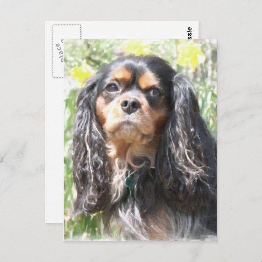 Painted Cavalier King Charles Spaniel Briefkaart (Voorkant / Achterkant)
