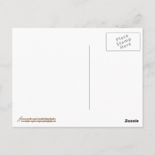 Painted Cavalier King Charles Spaniel Briefkaart (Achterkant)