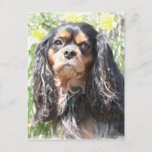 Painted Cavalier King Charles Spaniel Briefkaart