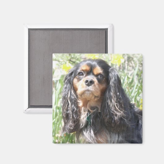 Painted Cavalier King Charles Spaniel Magneet (Voorkant / Achterkant)