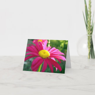 Painted Daisy Note Kaart