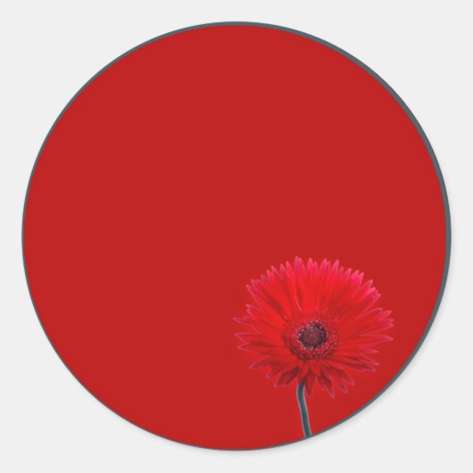 Painted Daisy Ronde Sticker (Voorkant)