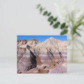 Painted Desert Petrified Forest National Park Briefkaart (Staand voorkant)