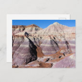 Painted Desert Petrified Forest National Park Briefkaart (Voorkant / Achterkant)