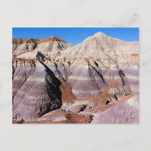 Painted Desert Petrified Forest National Park Briefkaart (Voorkant)