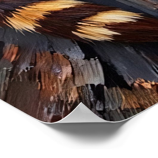 Painted Dusk: Wasbeer op Rocky Perch Poster (Hoek)