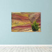 Painted Hills, Mitchell, Oregon, Verenigde Staten Canvas Afdruk (Insitu (Houten vloer))