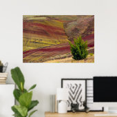 Painted Hills, Mitchell, Oregon, Verenigde Staten Poster (Thuiskantoor)