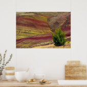 Painted Hills, Mitchell, Oregon, Verenigde Staten Poster (Keuken)