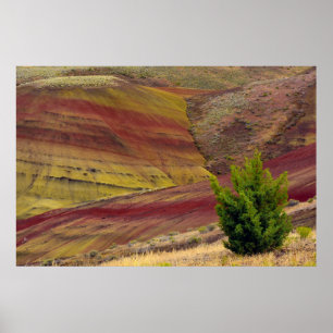 Painted Hills, Mitchell, Oregon, Verenigde Staten Poster