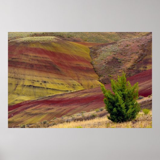 Painted Hills, Mitchell, Oregon, Verenigde Staten Poster (Voorkant)