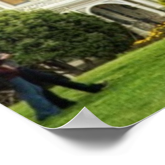 Painted Ladies, Victorian houses and skyline Poster (Hoek)