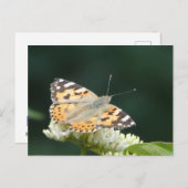 Painted Lady Butterfly DIY Briefkaart (Voorkant / Achterkant)