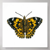 Painted lady butterfly poster (Voorkant)