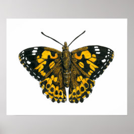 Painted lady butterfly poster