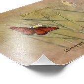 Painted Lady Mixed Media Foto Afdruk (Hoek)