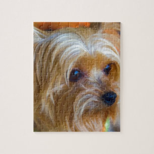 Painted Lady Yorkshire Terrier Legpuzzel
