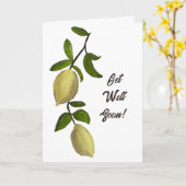 Painted Lemons Get Well Soon Kaart (Gele Bloem)