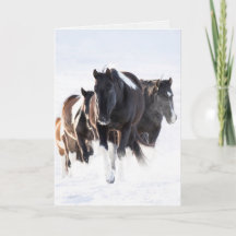 "Painted Snow Day II" - Wenskaart voor wilde paard
