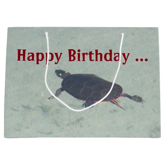 Painted Turtle Gift-bag Large Cadeautasje (Voorkant)