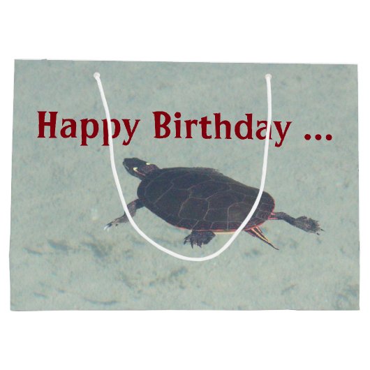Painted Turtle Gift-bag Large Cadeautasje (Achterkant)