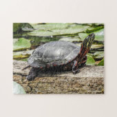 Painted Turtle Jigsaw Puzzle Legpuzzel (Horizontaal)