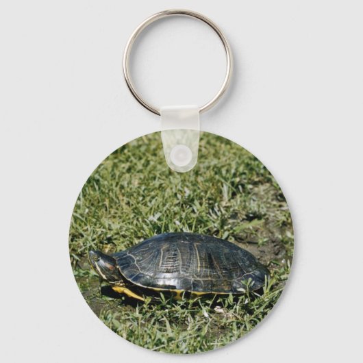 Painted Turtle Sleutelhanger (Voorkant)