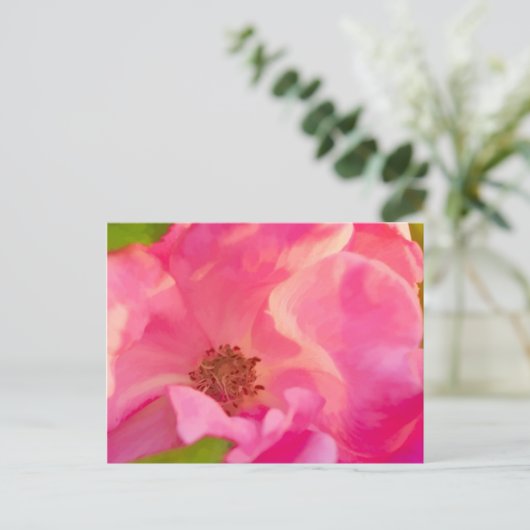 PainterAbstract Roze Knockout Roos Briefkaart (Staand voorkant)