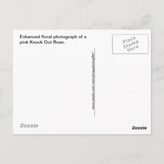 PainterAbstract Roze Knockout Roos Briefkaart (Achterkant)