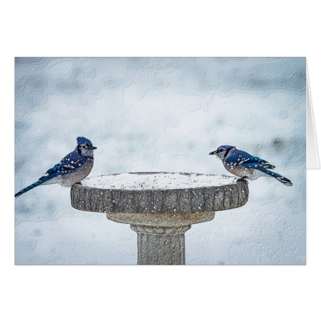 Painterend tegen elkaar (Voorkant Horizontaal)