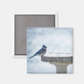 Painterend tegen elkaar magneet (Voorkant / Achterkant)