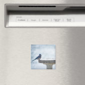 Painterend tegen elkaar magneet (Insitu (Vaatwasser))