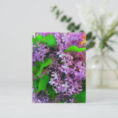 Painterly lilacs briefkaart (Staand voorkant)