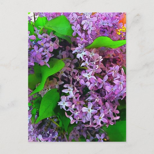 Painterly lilacs briefkaart (Voorkant)