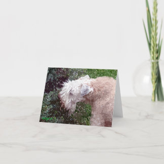 Painterly Waverly Feestdagen Kaart