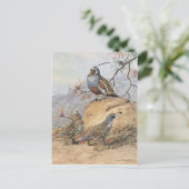 Painting of two different Quail species by Allan Briefkaart (Staand voorkant)
