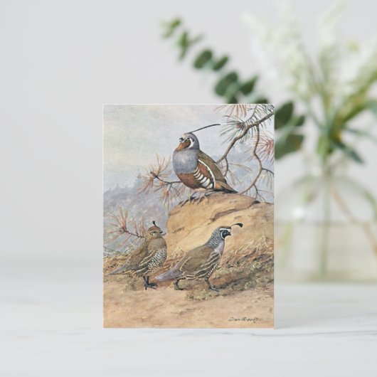 Painting of two different Quail species by Allan Briefkaart (Staand voorkant)