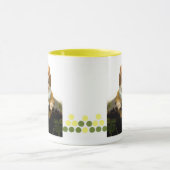 Painty the Garden Gnome Mok (Midden)