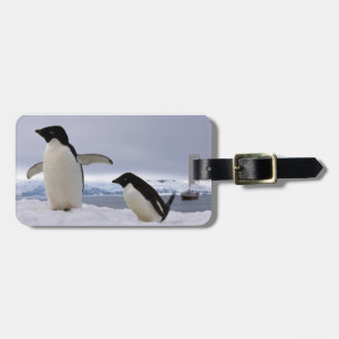 Pair Adelie penguins Antarctica Bagagelabel